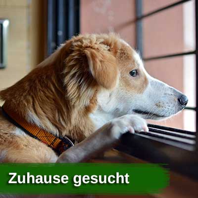 Couch gesucht