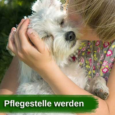Pflegestelle werden